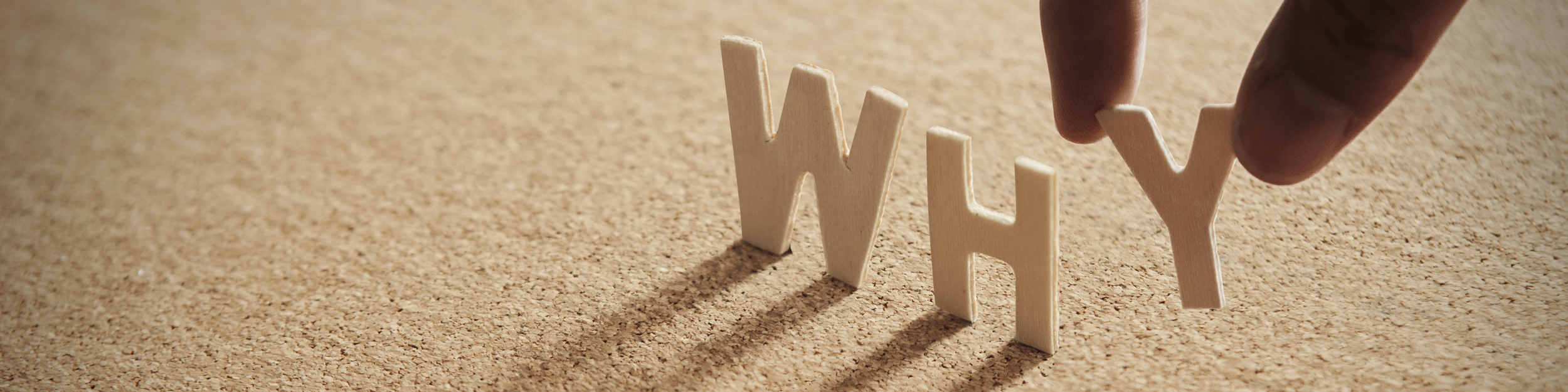 Hoe zit het met de why van je organisatie?